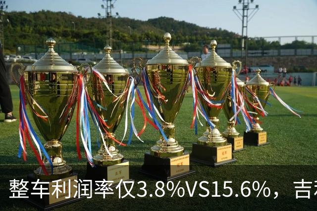 整车利润率仅3.8%VS15.6%，吉利自研40%电池是最优解吗？